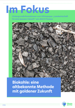 In Focus Biochar