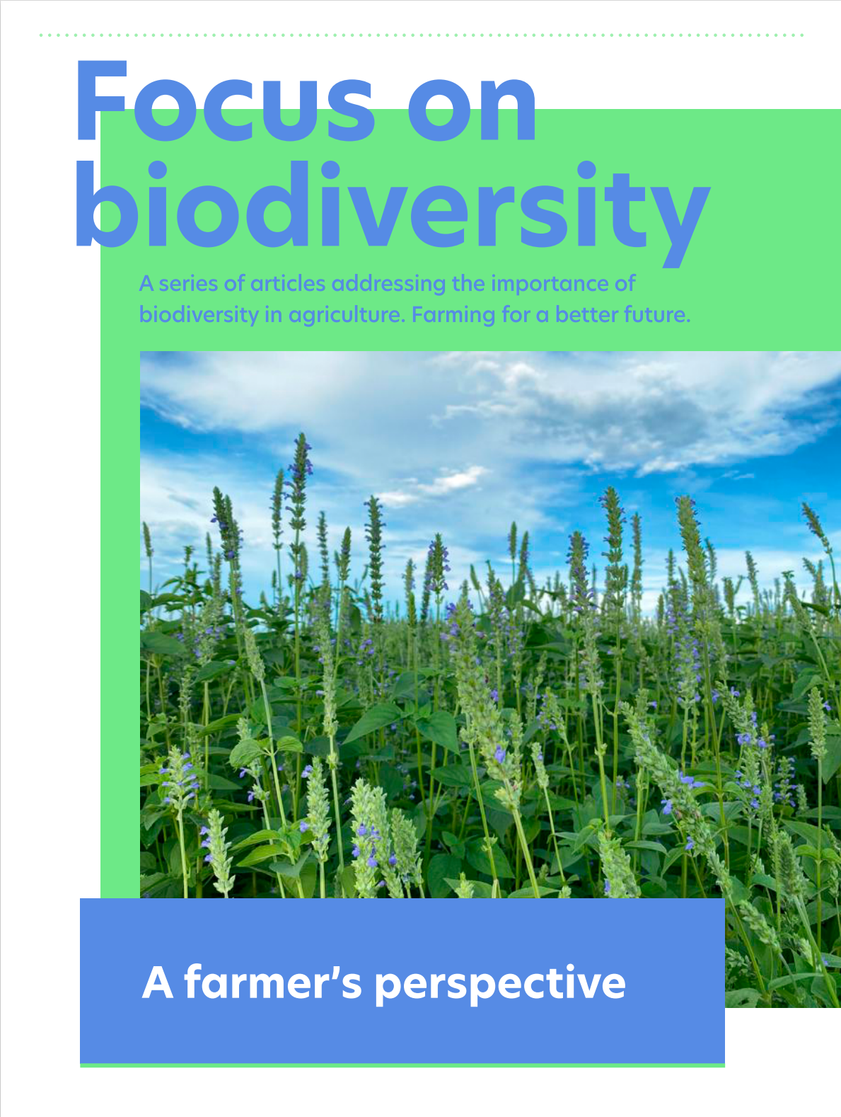 Focus on Biodiversity: A farmer's perspective