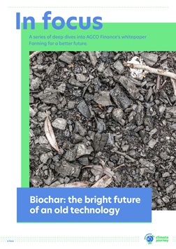 In focus: Biochar